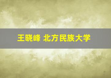 王晓峰 北方民族大学